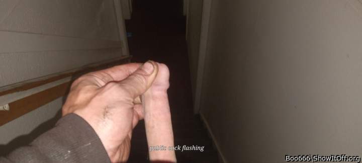 Photo of a bald-headed mouse from Boo666