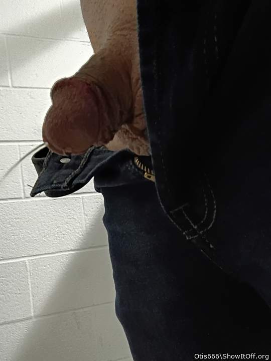 Photo of a rooster from Otis666