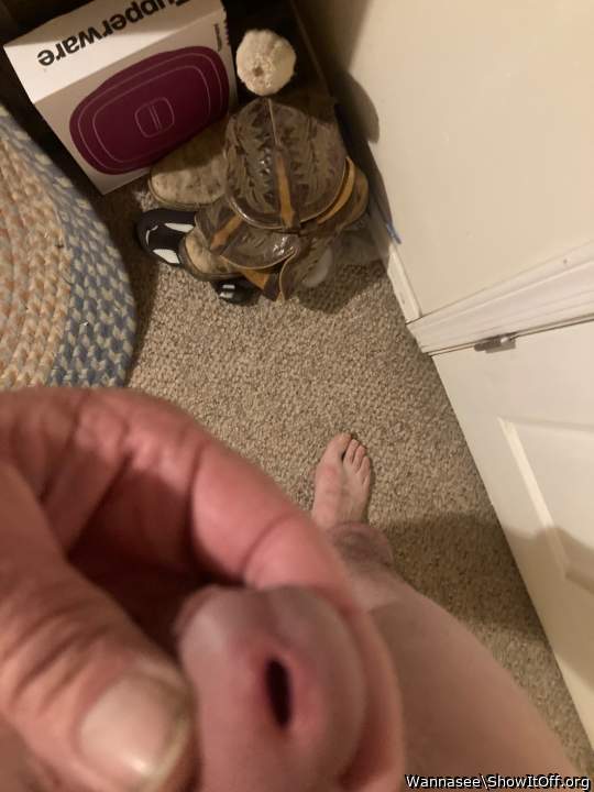 Photo of a pecker from Wannasee