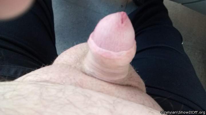 Photo of a penile from zizelyian