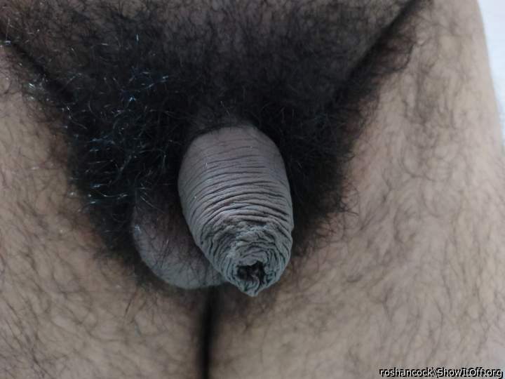 Photo of a thing from roshancock