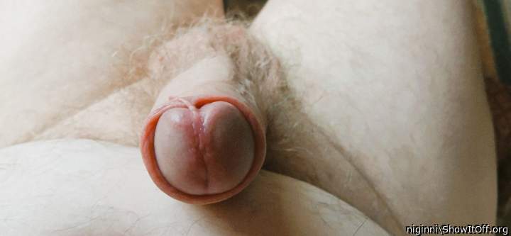 Photo of a hot dog from niginni