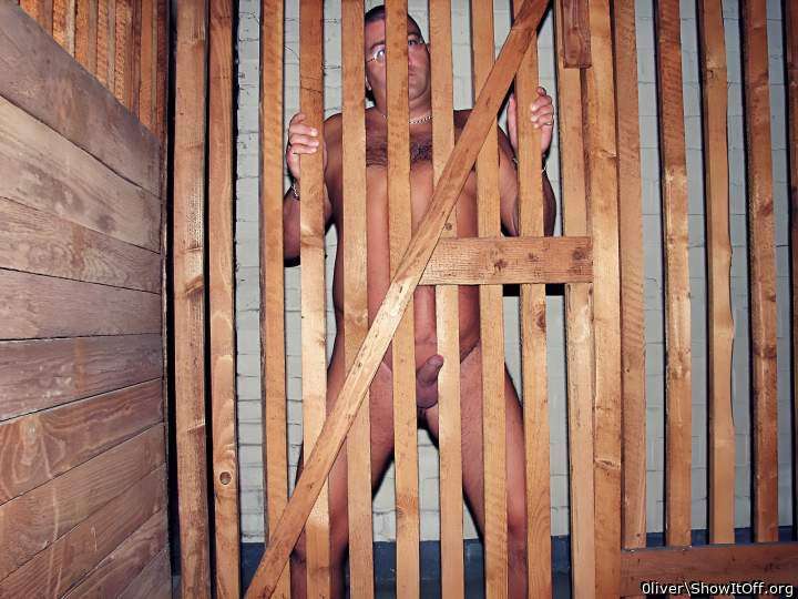 Photo of a boner from 0liver