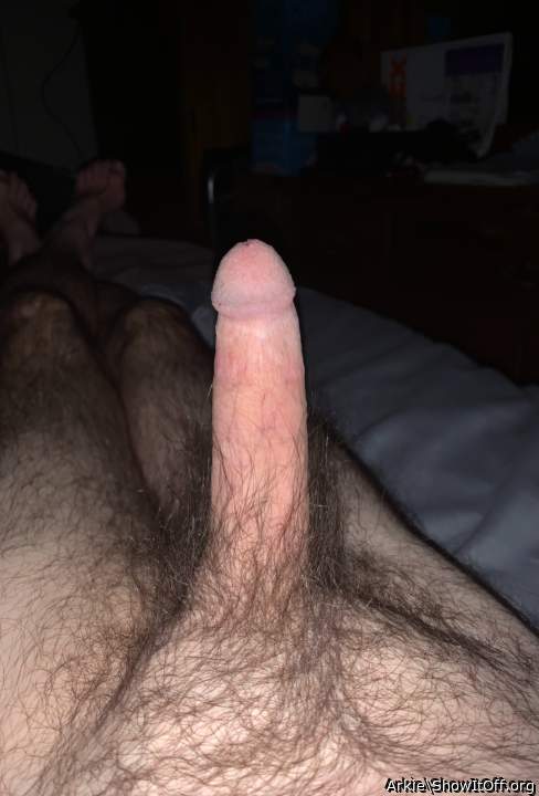 Photo of a rooster from Arkie