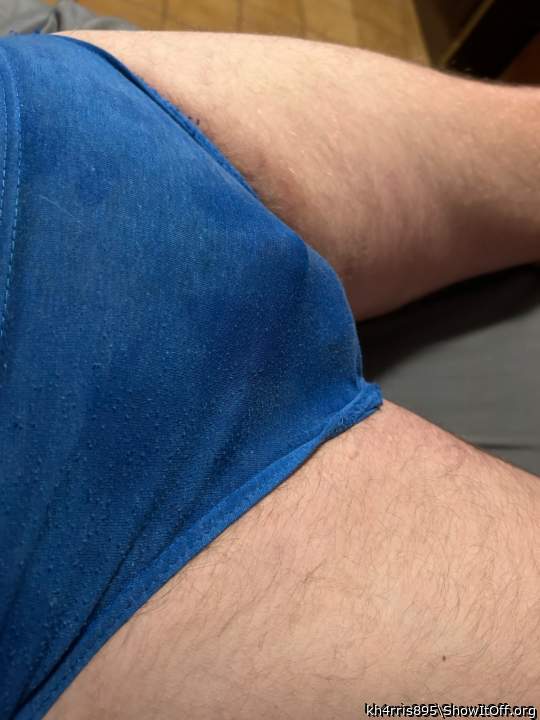 Photo of a weasel from kh4rris895