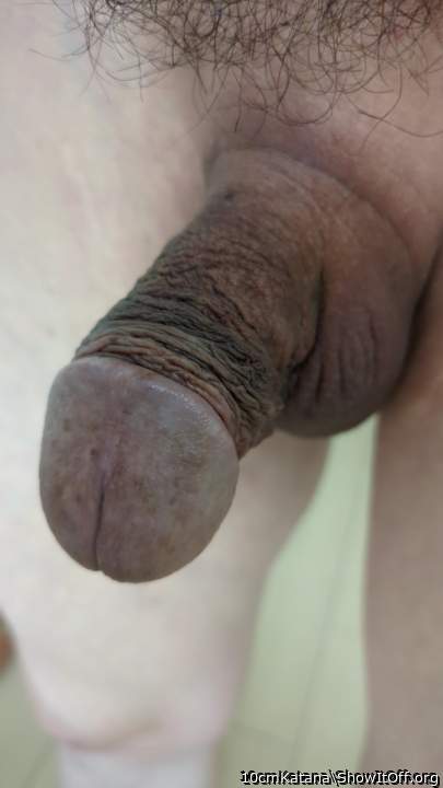Photo of a dick from 10cmKatana