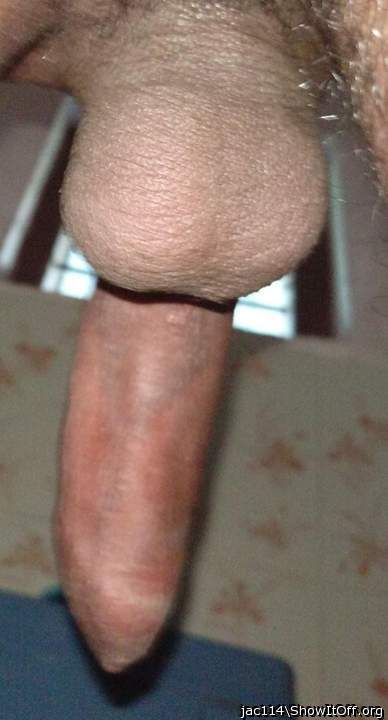 Photo of a bald-headed mouse from jac114