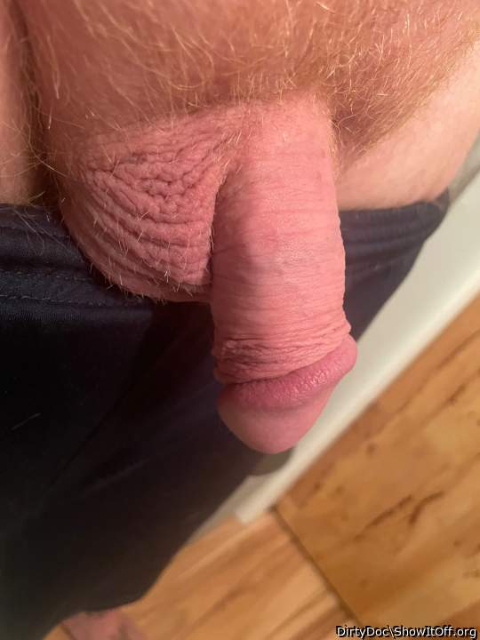Photo of a weasel from DirtyDoc