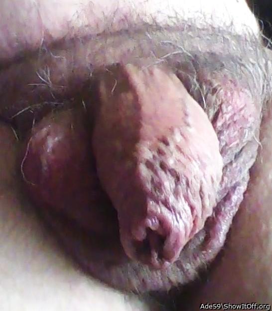 Photo of a horn from Ade59