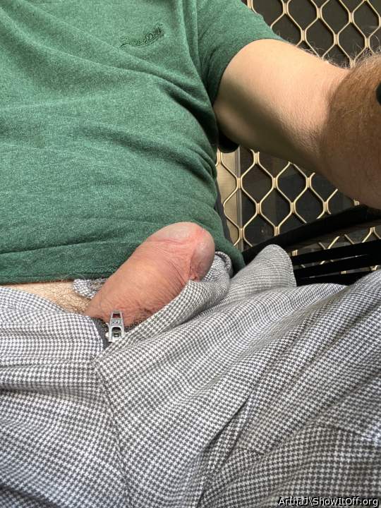 Photo of a weasel from ArthaJ