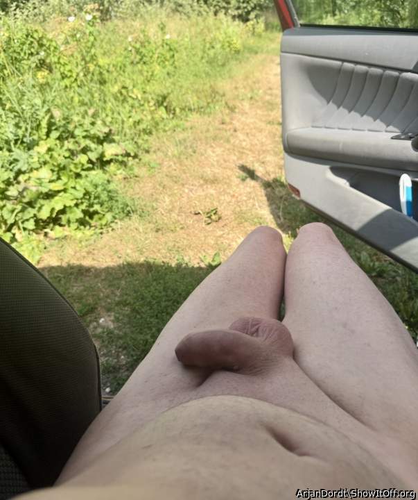 Want me to suck your hot cock in your car ? I sure want to..
