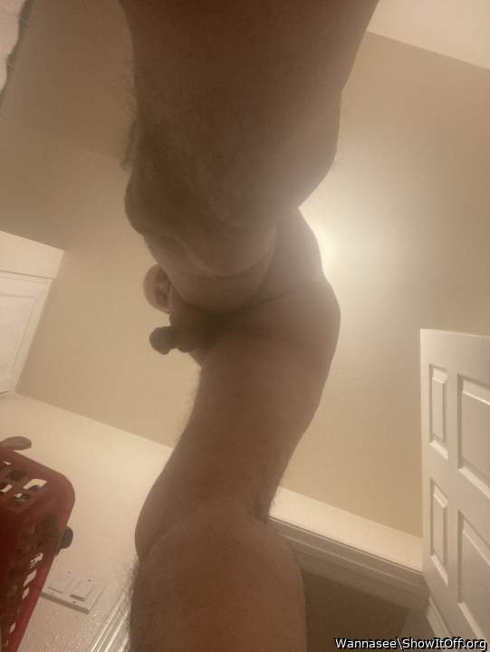 Photo of a cock from Wannasee