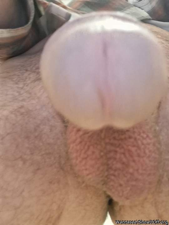 Photo of a dick from Wannasee