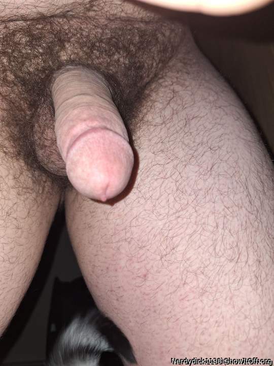Photo of a dick from Nerdydick1138