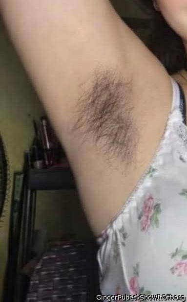 Photo of a ram rod from GingerPubes