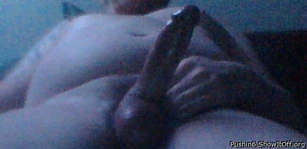 Photo of a weasel from Pushin6