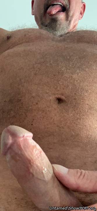 Photo of a middle leg from Untamed