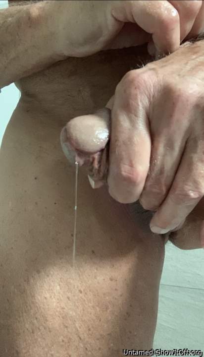 Photo of a drain pipe from Untamed