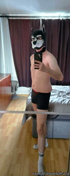 Really great photo love your page thank you and happy new ye