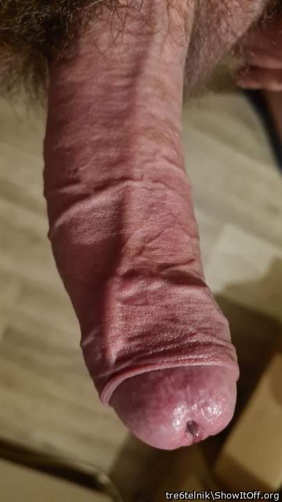 Veiny Dick