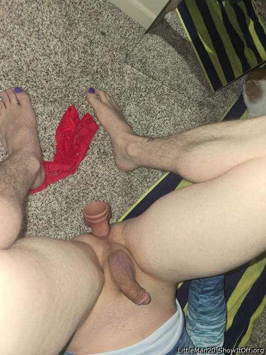 Adult image from LittleMan20