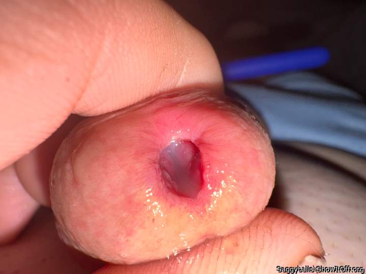 You can lick my hole
