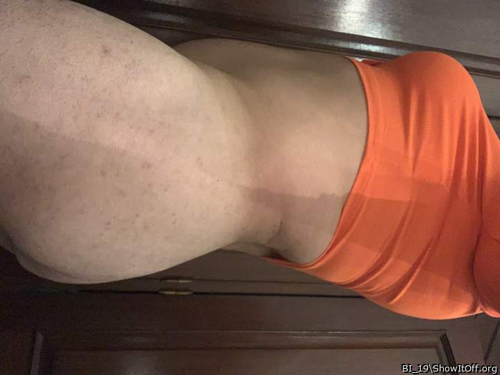 Photo of a third leg from BI_19