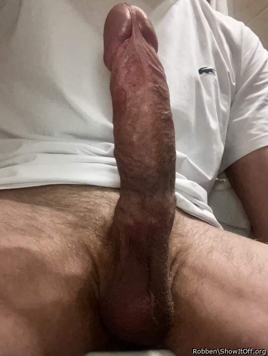 My erection