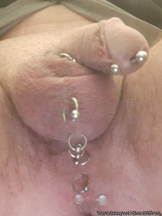 All my genital piercing