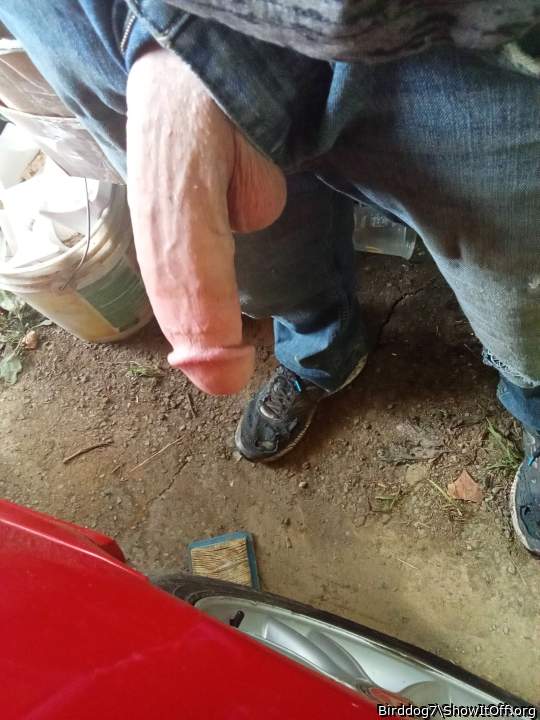 Photo of a middle leg from Birddog7