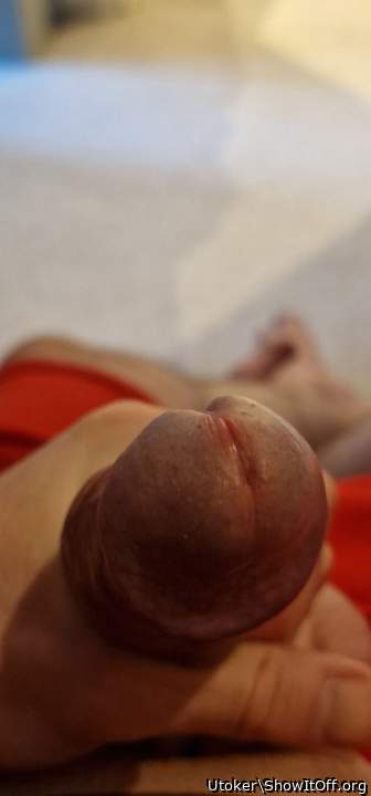 Photo of a sausage from Utoker