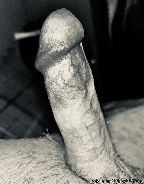 Photo of a cavalier from Lookatmine2