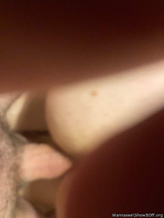 Photo of a snake from Wannasee