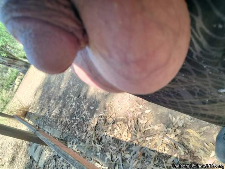 Photo of a dick from Tnelson88