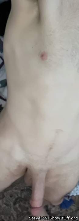 Photo of a weasel from SteveL69