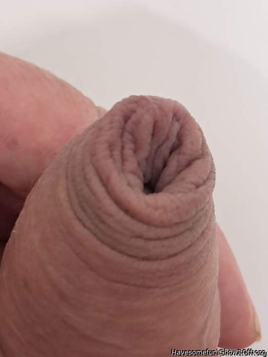 Photo of a snake from Havesomefun