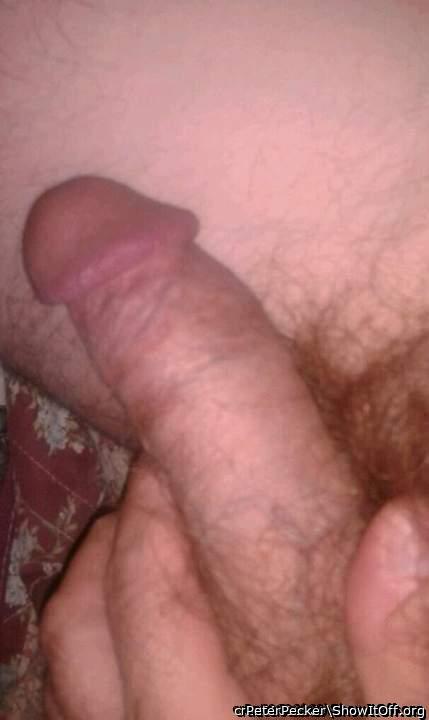Photo of a third leg from PeterPecker