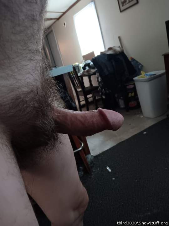 Photo of a boner from tbird3030