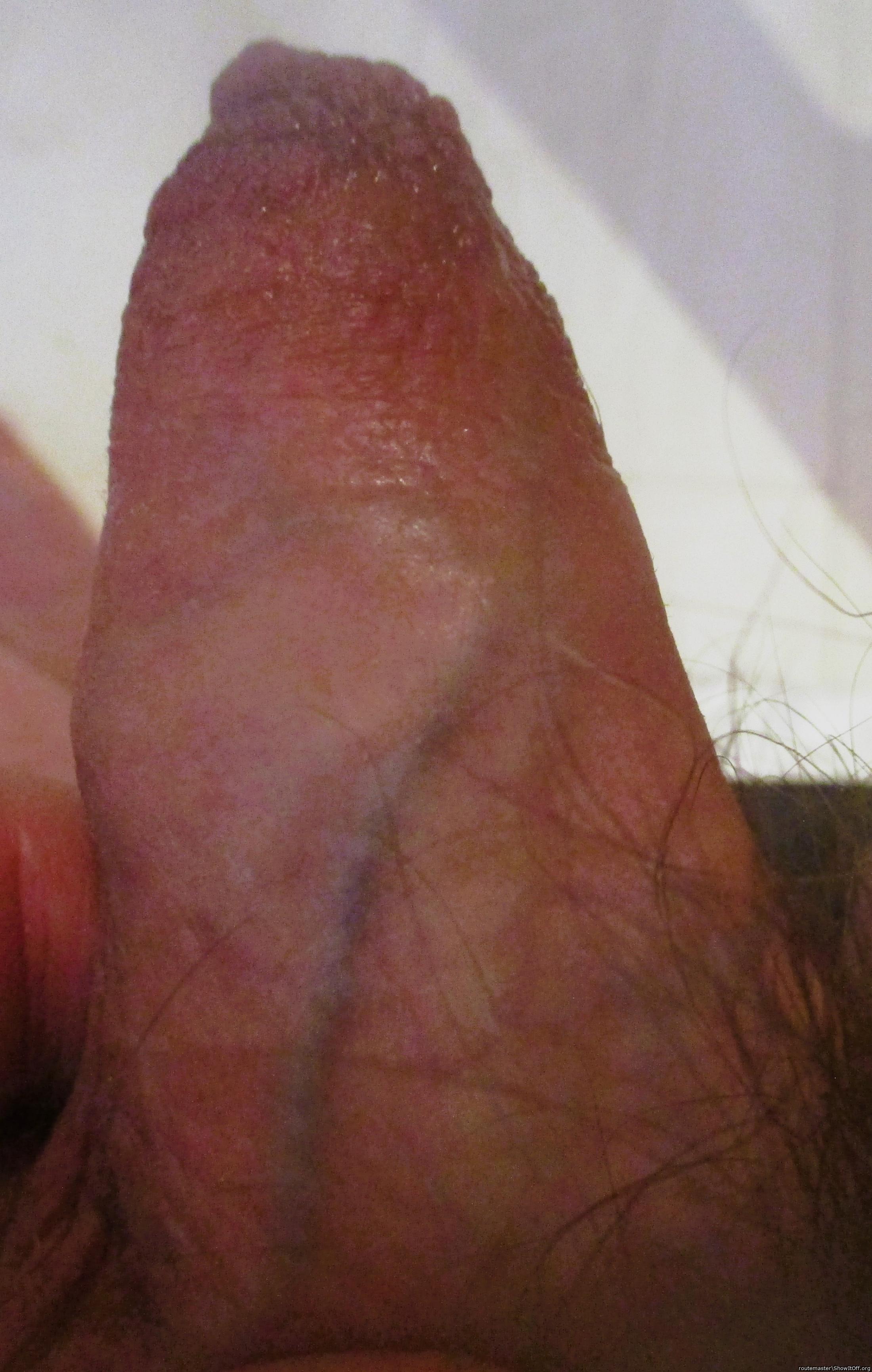 My early morning nudist uncut dick, 29.10.24