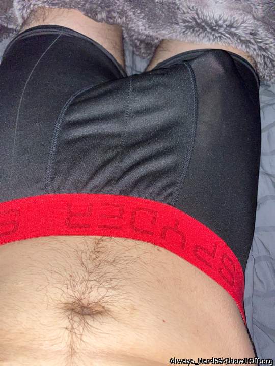 Photo of a bat from Always_Hard69