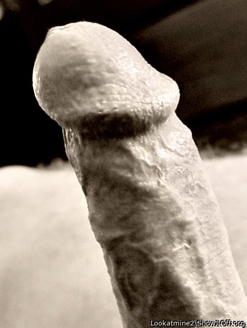 My Veiny Cock in Black and White