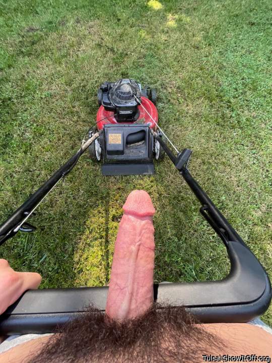 Just don�t mow your nice bush!