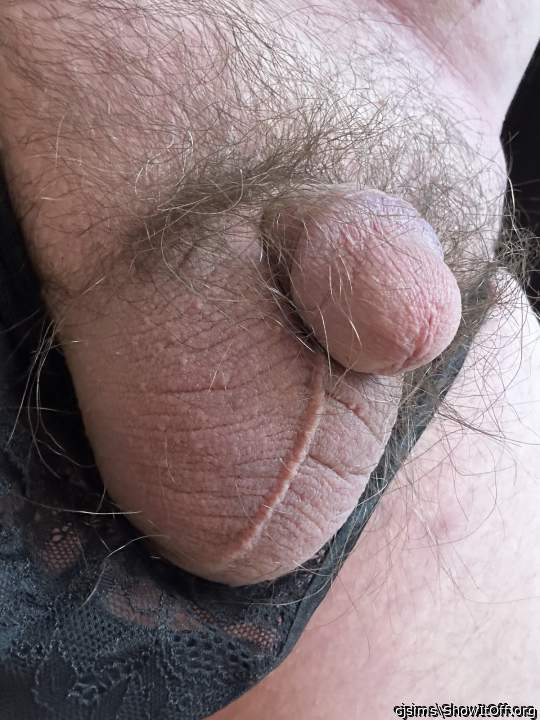 Wow, that's sure looks Fun