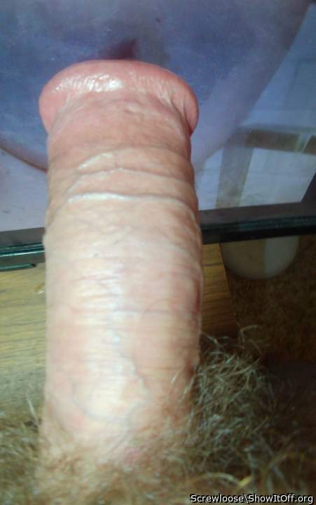 looks as though she made an udder-cunt for daddy to fuck!