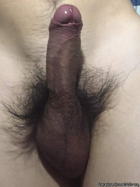 nice cock with wet tip