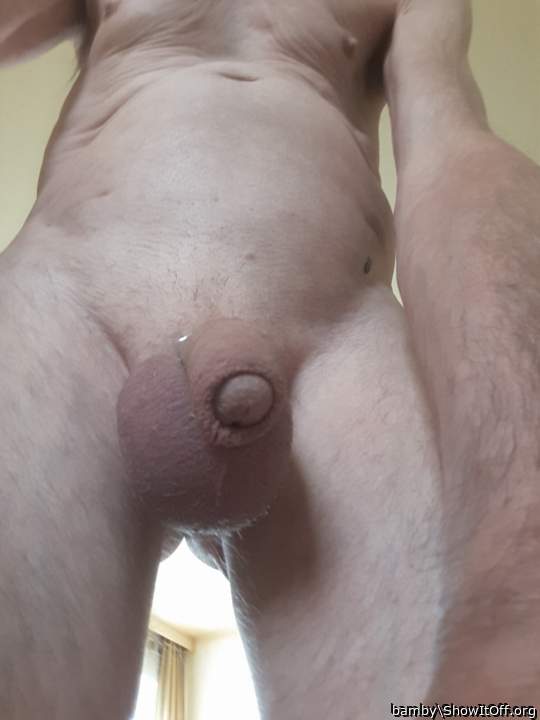 Photo of a third leg from bamby