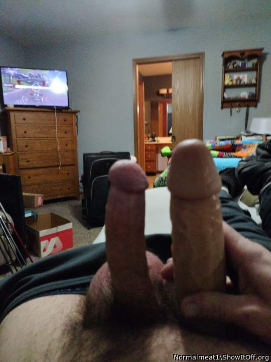 Photo of a penis from Normalmeat1