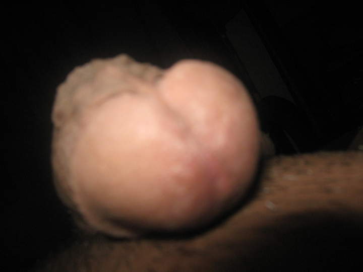 Photo of a sausage from bovine