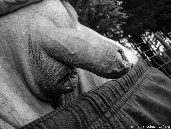 Photo of a thing from chester60