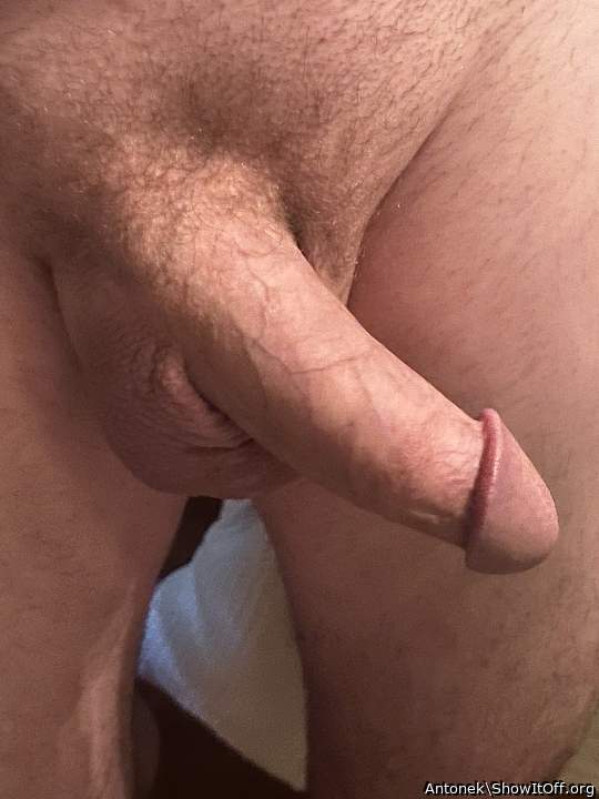 Photo of a prick from Antonek